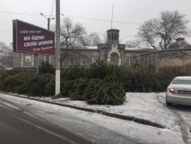 В Одессе «левые» елки и сосны продaют прямо возле отделения полиции   