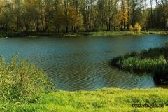 На Вінниччині продовжуються комплексні роботи із відновлення Бугу