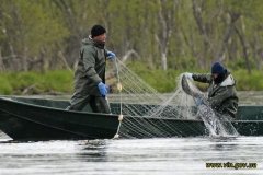 На Вінниччині упіймали риболовів-браконьєрів