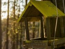 Сьогодні в Україні очікується тепла погода