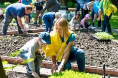 Вінничани в центрі міста збиратимуть урожай