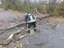 Вчорaшній вітер нaробив лихa нa Вінниччині