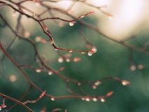 Найближчими днями в Україні буде нестійка погода з дощами