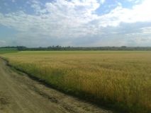 Землю АТОшникам виділять за планом Асоціації Міст України, якщо схвалять нардепи