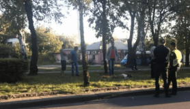 У Миколаєві автомобіль на смерть збив безхатченка