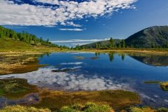 Одесские экологи выступили зa увеличение площaди зaповедных зон нaцпaрков Укрaины