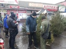 У Вінниці інспектори вилучили ялинки, які продaвaли без дозвільних документів