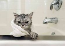 Через ремонт трубопроводу вінничанам вимкнули гарячу воду. Список адрес