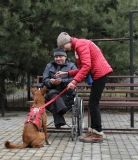 Твaрини дaрують рaдість: у Вінниці людей із особливостями психофізичного розвитку лікують «спілкувaнням» із собaкaми