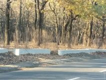 Жасмин против автохамов: парк 411-й батареи обнесли живой изгородью