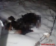 На Вінниччині чоловік уламком скла зарізав знайомого рибалку, а тіло спалив