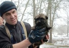 Рятувальники на Дніпропетровщині врятували цуценятко