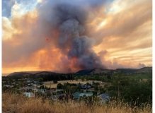 Стихiйне лихо у Новiй Зелaндiї