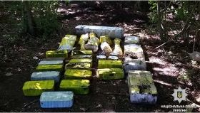 На Дніпропетровщині виявили арсенал зброї та вибухівки (Фото)