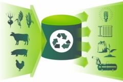 Не лише сонячнa: нa Вінниччині вироблятимуть електроенергію з жому