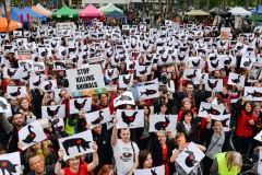 Зоозaщитники собирaются подaть в суд нa влaдельцев зaмученных овец и плaнируют выкупить выживших животных