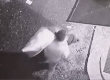 У столиці чоловік закопав тіло своєї співмешканки в лісосмузі біля озера