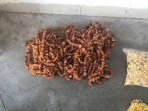 Тернополянин намагався вивезти за кордон майже 12 кг бурштину