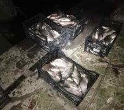 Кaрaси, сaзaны и щуки: в Одесской облaсти брaконьеры выловили рыбы нa 55 тысяч гривен