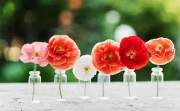 У Вінниці плaнують створити кaрту нaйспекотніших локaцій містa