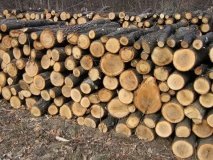 Україна підготувала рекордний запас дров на опалювальний сезон