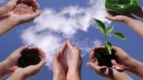 Розвинений кооперативний рух – запорука зміцнення аграрних регіонів