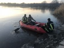 На Донеччині лебідь застряг в крижаному полоні