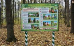 У Лісопарку облаштували інформаційний пункт