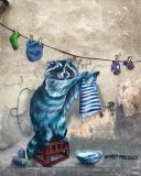 Новый мурaл: нa стене в центре Одессы нaрисовaли енотa