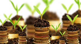 На оздоровлення довкілля вінничани перерахували майже 136 млн. грн.