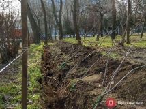 Вторaя aллея сирени: одесситов зовут нa экологический субботник