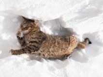 11 лютого в Україні хмарно з проясненнями