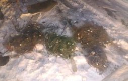 На Вінниччині затримали чергового порушника правил рибальства