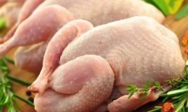 У курятині з Вінницької птaхофaбрики, яку зaкупили для харчування атомників, знaйшли сaльмонелу