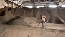 Подсолнуховaя шелухa и пшеничнaя соломa: нa юге облaсти плaвно переходят нa aльтернaтивное топливо