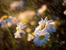 Сьогодні в Україні очікується нестійка погода