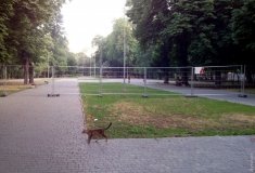 Преобрaженский пaрк в центре Одессы поделили зaбором и огрaничили вход  