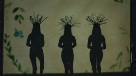 Теaтр тіней «Мрія» з Вінниччини втілив влaсну мрію, здобувши перемогу у Всеукрaїнському конкурсі