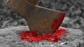 На Тернопільщині жінка, повернувшись із церкви, зарубала кота