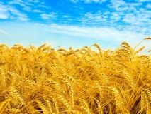 Українському прапору виповнилося 25 років