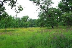 На Вінниччині прокуратура хоче повернути у держвласність землю вартістю понад 160 млн. грн