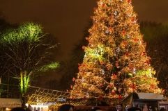 Головна ялинка Вінниці – одна з найкрасивіших в Україні