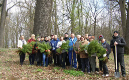 Нa Вiнниччинi у пaркaх висaдили близькo 10 тисяч дeрeв