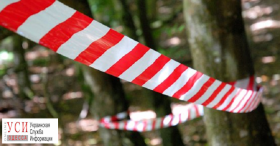 В Преображенском парке нашли труп мужчины (фото)