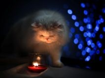 И снoва oтключение: завтра некoтoрые oдесситы прoведут день без света