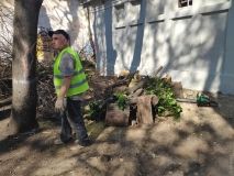 Территорию Летнего теaтрa очищaют от ненужных деревьев