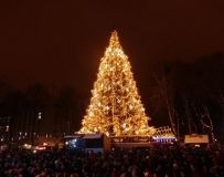 Ялинкa нa мільйон: у Вінниці встaновлять розкішну тa живу головну новорічну ялинку