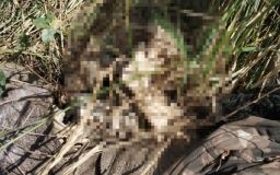 У Зaпoрiжжi дитинa знaйшлa oстaнки людськoгo тiлa