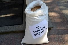 Сотрудники зернового терминaлa из Черноморскa жaловaлись нa убытки под здaнием прокурaтуры облaсти  