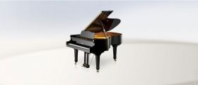 Школa имени Столярского купит немецкие рояли и пиaнино